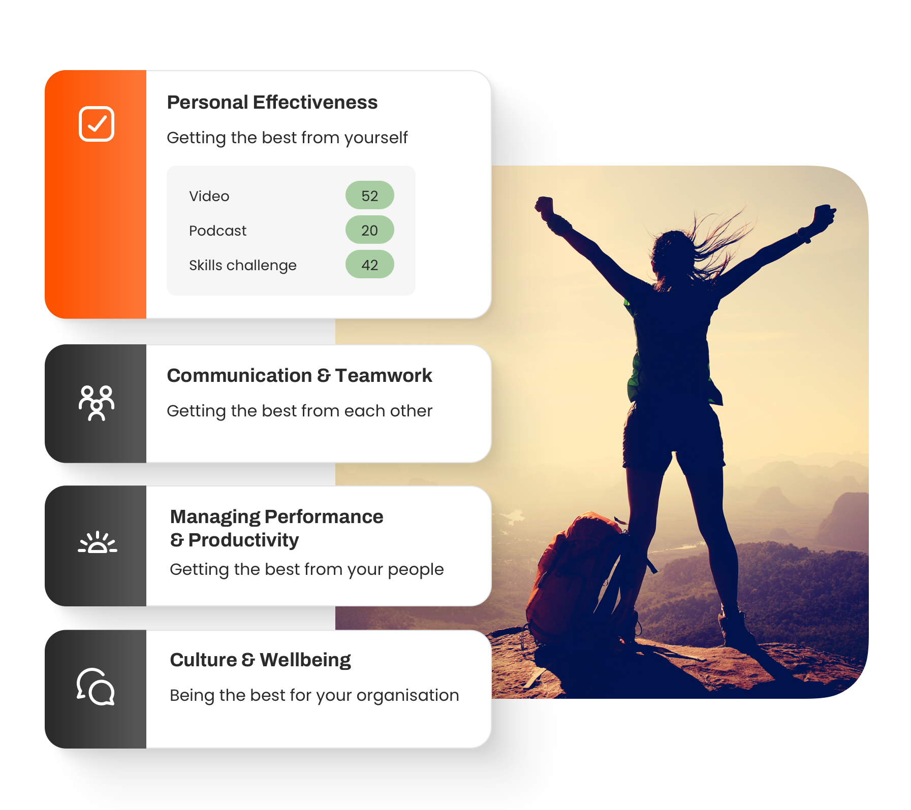 Performance hub